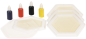 Preview: Stempelkissen, Stempel, Kiste, Aufbewahrung, Holzstempel, Moosgummistempel,  Basteln, Ordnung, Kiste mit Deckel, Kindergarten, KitaStempelkissen, Stempel, Kiste, Aufbewahrung, Holzstempel, Moosgummistempel,  Basteln, Ordnung, Kiste mit Deckel, Kindergarte